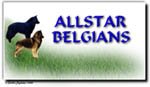 Allstar Tervuren