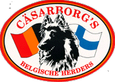 Casarborg