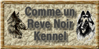 Comme un rève Noir