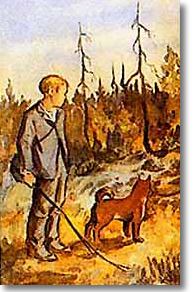 finnish spitz postcard